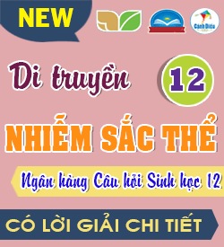 Di truyền Nhiễm sắc thể (TN - DS - TLN)